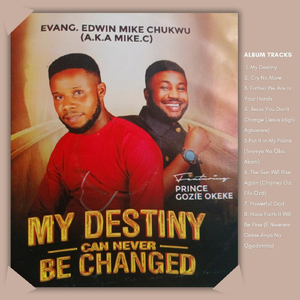 Put It in My Palms (feat. Prince Gozie Okeke)