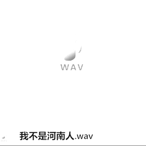 我不是河南人
