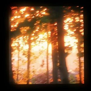 [FREE]lil shine x pluggnb type beat