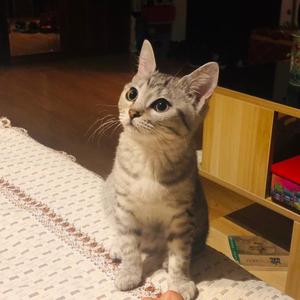 逆境之中不忘反抗的我们