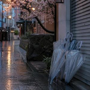 半透明の傘