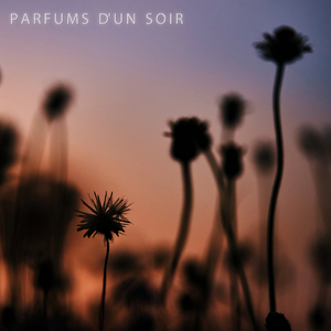 Parfums d'un Soir