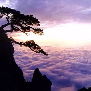 你家你家是你家