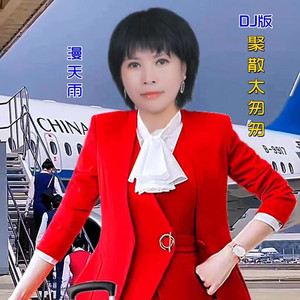 聚散太匆匆 (DJ苏平版|女声版)