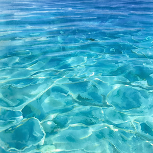 海