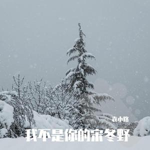 我不是你的宋冬野.