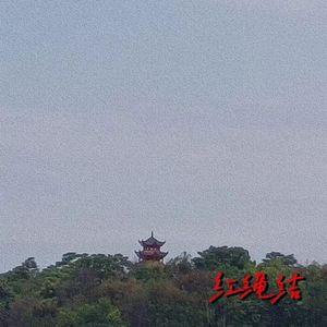 红绳结