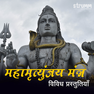 Mahamrityunjay Mantra (Reprise)