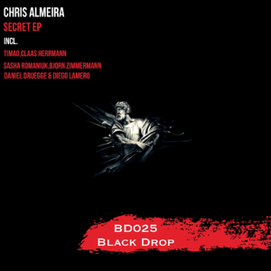 Secret (Claas Herrmann Remix)