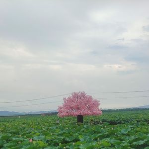 寻迹