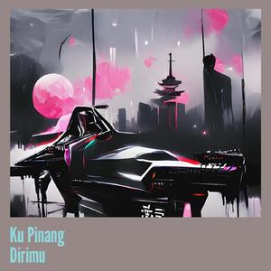 Ku Pinang Dirimu (Acoustic)