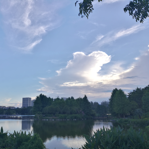 未妨惆怅是清狂