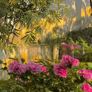 把你的心 剖开来 看一看你 爱不爱 (把心剖开)