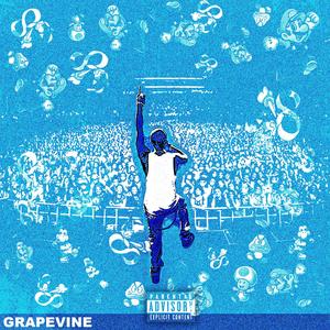 Grapevine