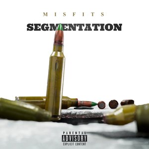 Segmentation