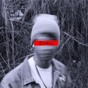 Visuals (feat. L!tino)