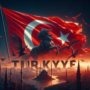 Türkiye Deyin, Turkey Değil