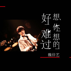 想你想的好难过