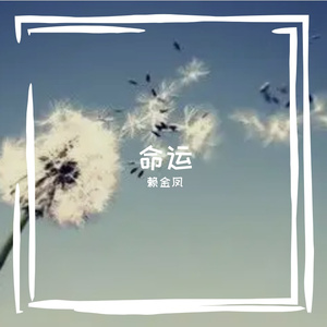 命运 伴奏