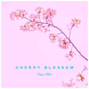 Cherry Blossom