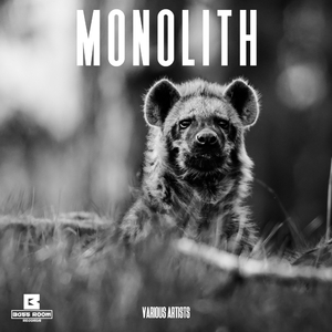 Last Light (Original Mix)