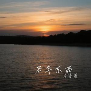 各奔东西 (Cover 赵乃吉)