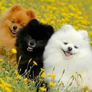 Tough - Channel Tres (slowed)