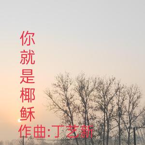 你就是耶稣