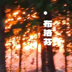 布洛芬 prod.aura+jang0