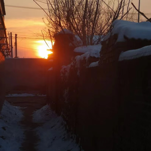 爱情转移＆富士山下