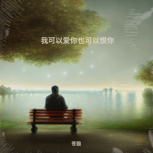 我可以爱你也可以恨你