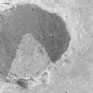 MENALCÓLICO (Bajo la lluvia)