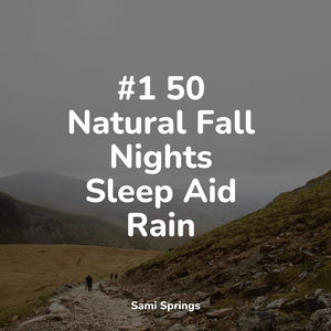 Birds Singing by a Waterfall