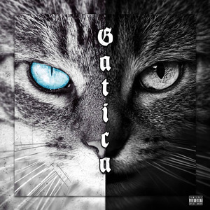 Gatica