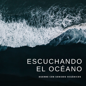 Surfeando el Mar