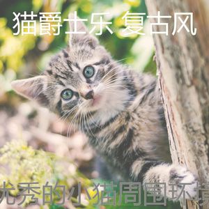 有趣睡猫情怀