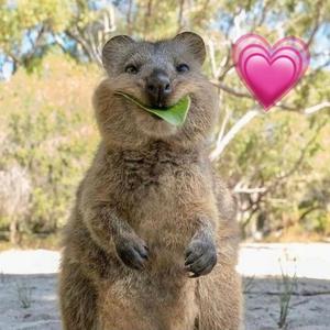 心动女孩（Prod by Ljx Ghost）