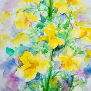 忘记你的样子 (吉他)