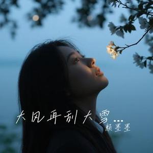 大风再刮大雪在下 (烟嗓哥 Remix)
