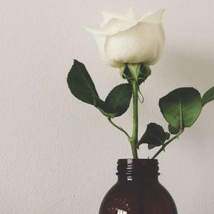 风吹不走笑容dj