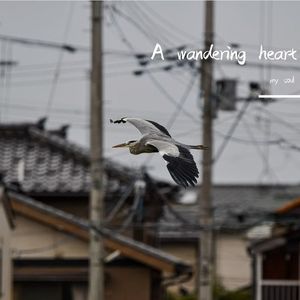 A wandering heart