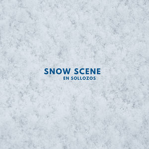 Snow Scene