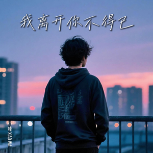 我离开你不得已