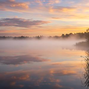 포근한 이불 속으로 (Into the Cozy Blanket)