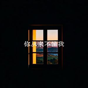 你从来不懂我