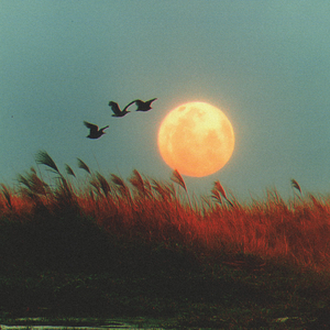 Full Moon
