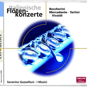 Flute Concerto in E minor:1. Allegro maestoso