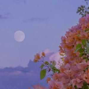 走马