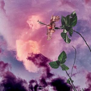 We So Chill (feat. am1r)