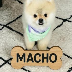 Macho Nacho